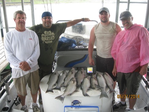 Nice Striped Bass